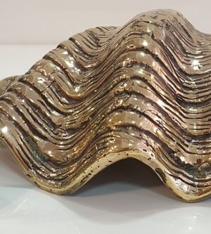 coquillage bronze doré 18X12 cm