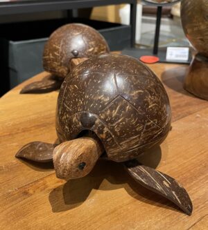 Tortue noix de coco tête animée L=13cm