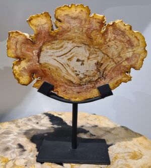 Plaquette en bois pétrifié d'indonésie sur socle métal, h=30cm