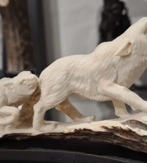 Loups sculptés corne sur support bois de rose L=14cm